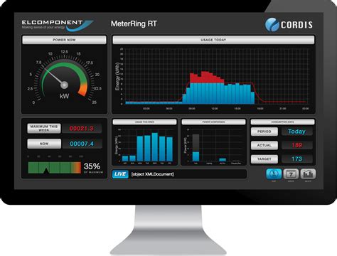 real time electricity monitor